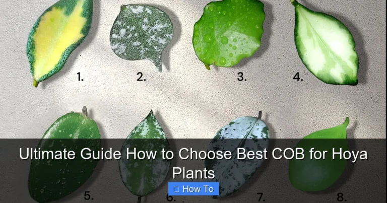Ultimate Guide How to Choose Best COB for Hoya Plants