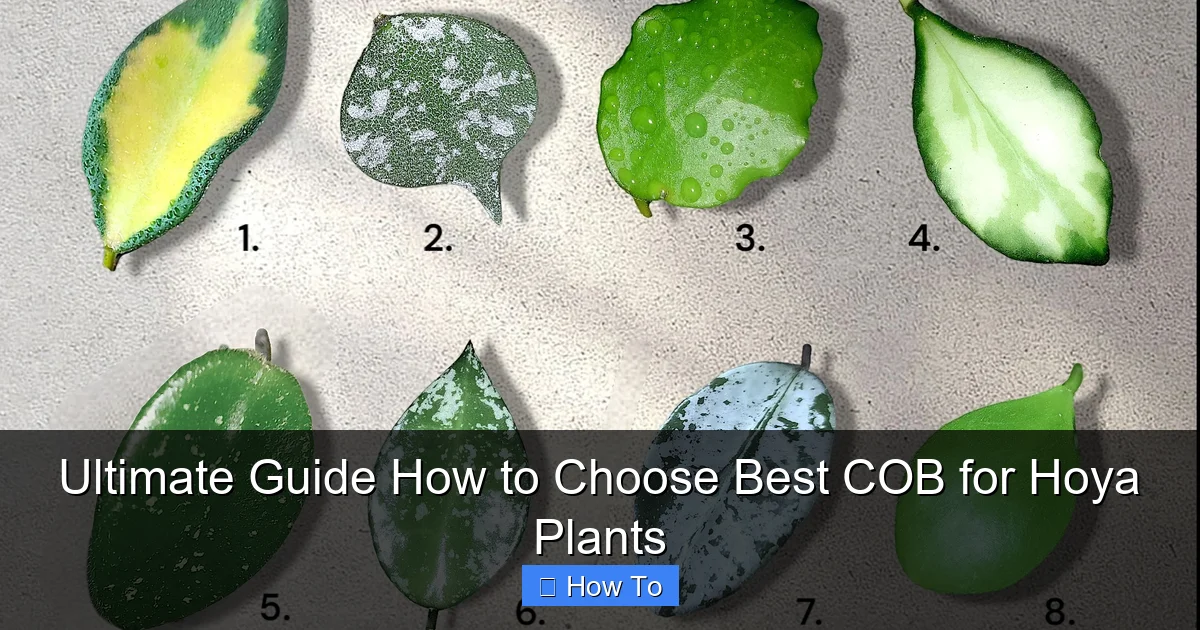 Ultimate Guide How to Choose Best COB for Hoya Plants