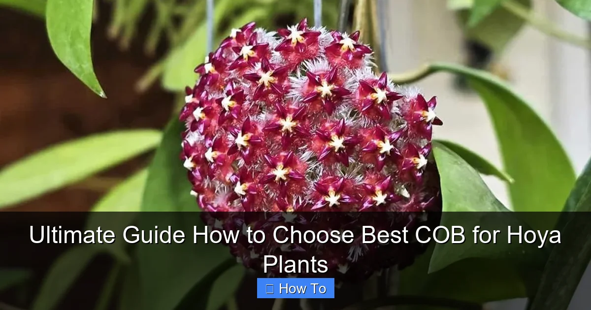 Ultimate Guide How to Choose Best COB for Hoya Plants