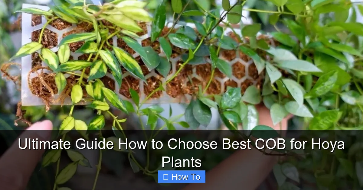 Ultimate Guide How to Choose Best COB for Hoya Plants