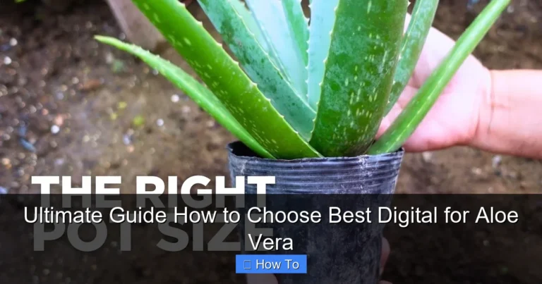 Ultimate Guide How to Choose Best Digital for Aloe Vera