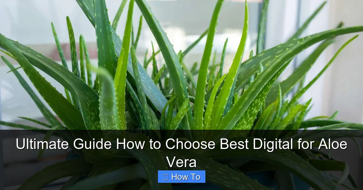Ultimate Guide How to Choose Best Digital for Aloe Vera