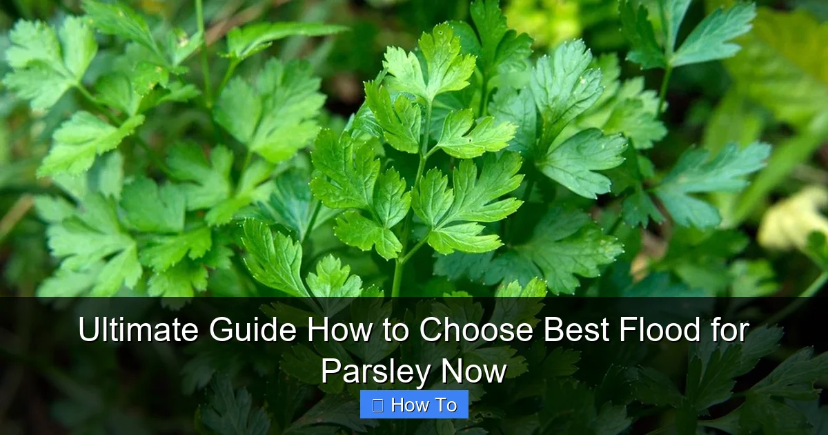 Ultimate Guide How to Choose Best Flood for Parsley Now