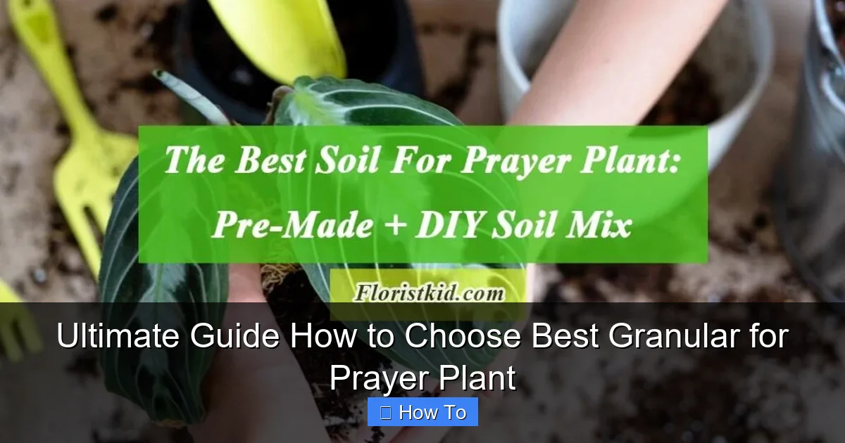 Ultimate Guide How to Choose Best Granular for Prayer Plant