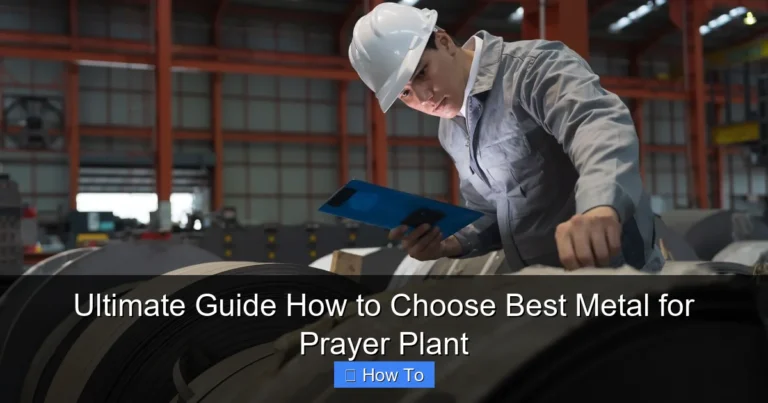 Ultimate Guide How to Choose Best Metal for Prayer Plant