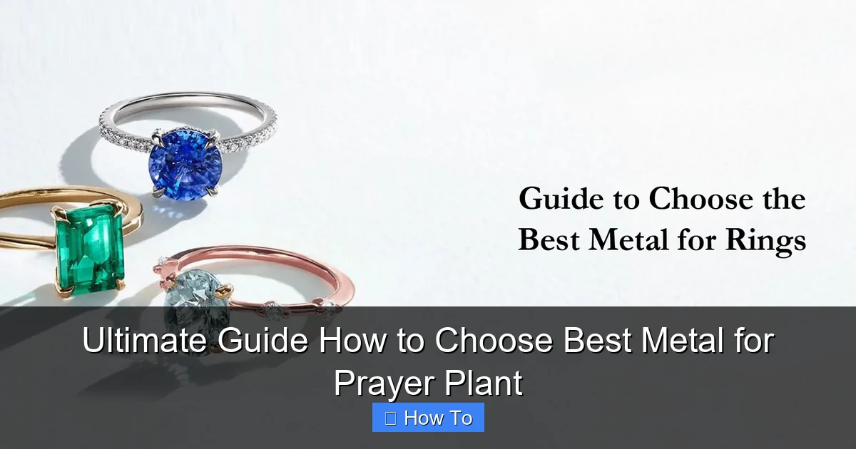 Ultimate Guide How to Choose Best Metal for Prayer Plant