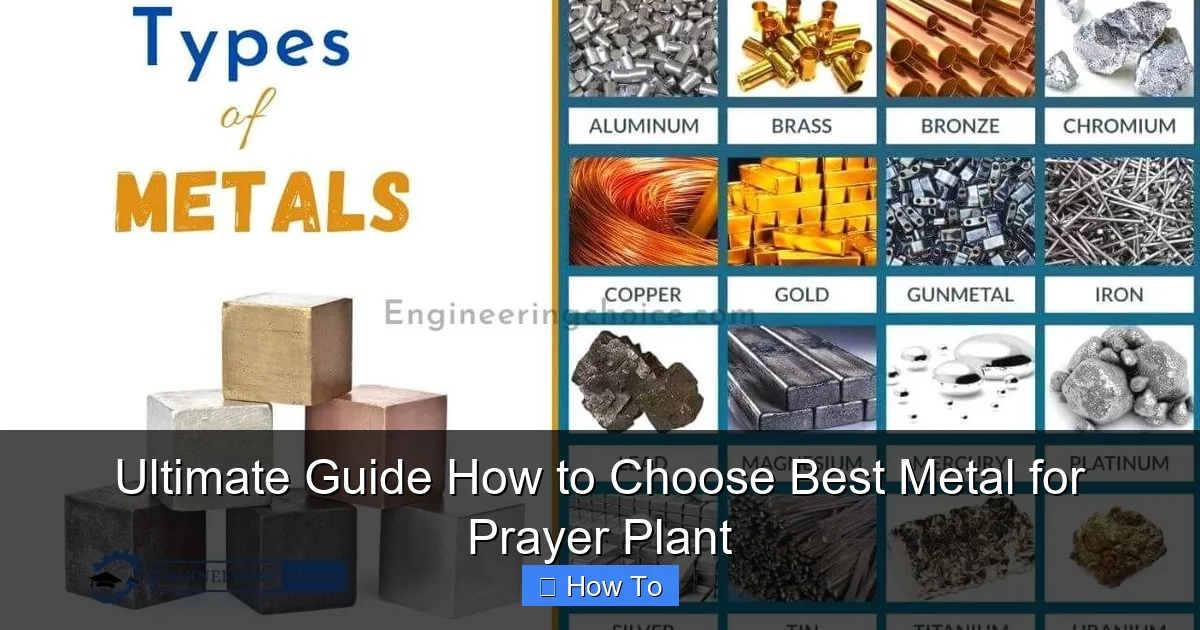 Ultimate Guide How to Choose Best Metal for Prayer Plant