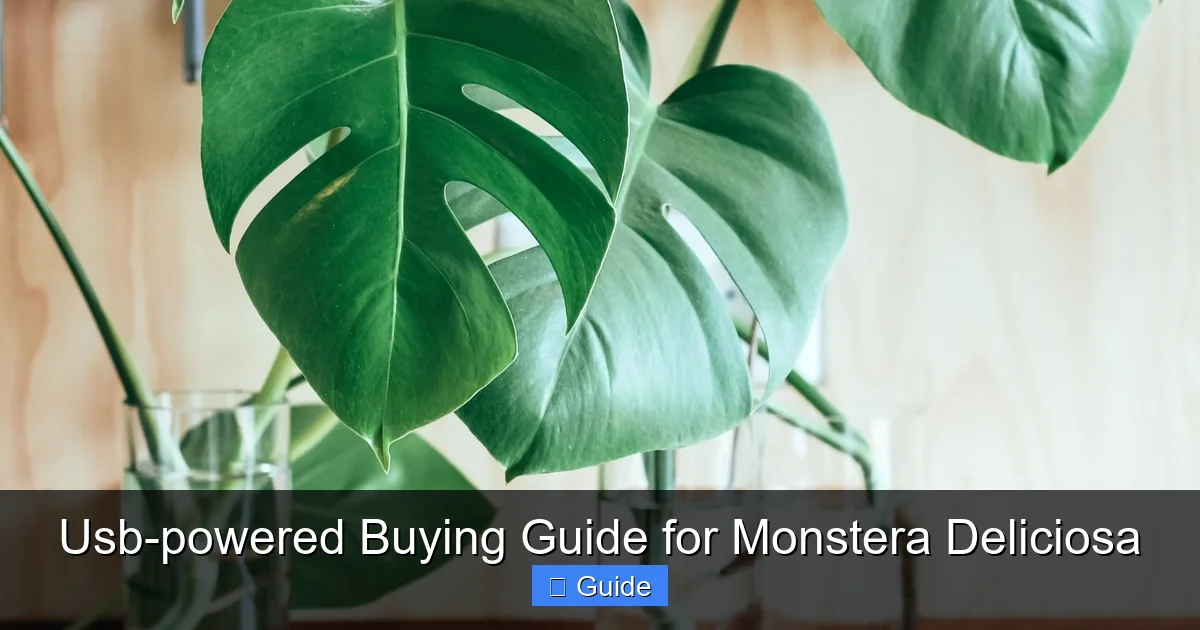 Usb-powered Buying Guide for Monstera Deliciosa