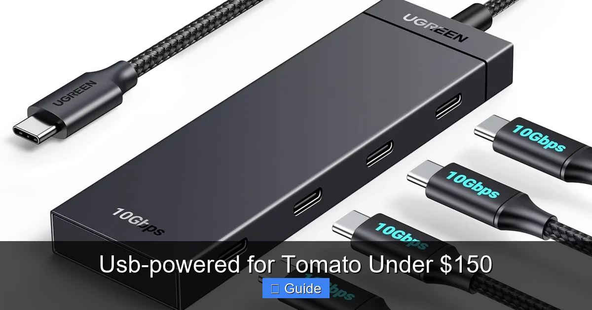 Usb-powered for Tomato Under $150