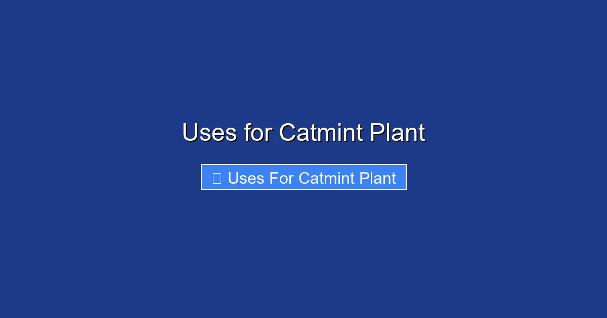 Uses for Catmint Plant