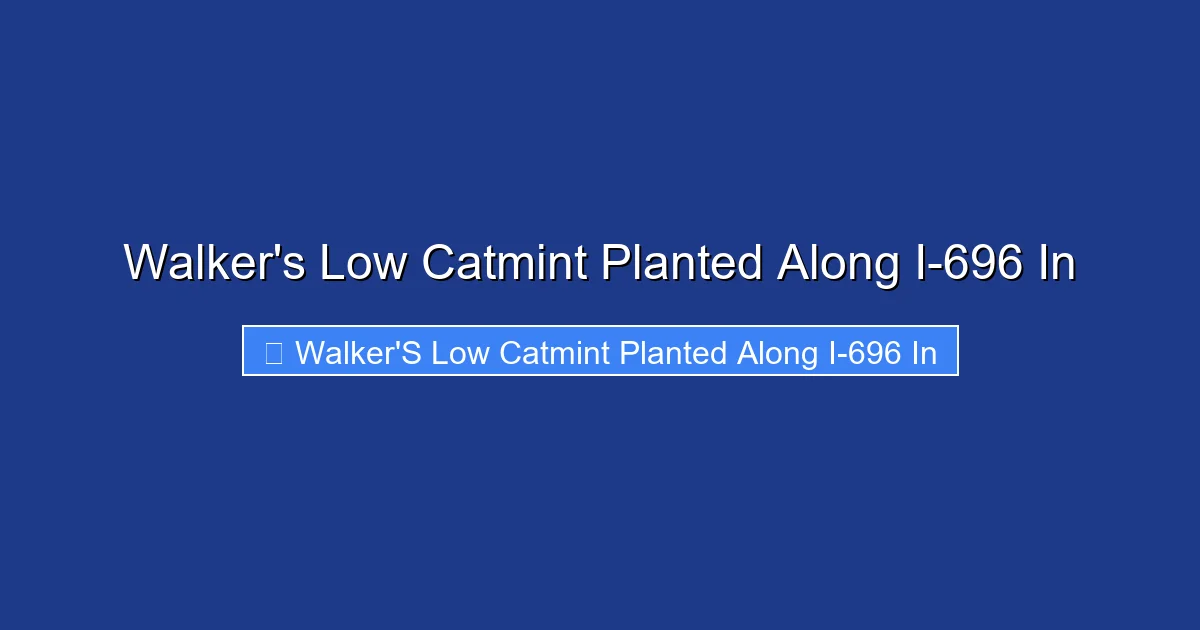 Walker's Low Catmint Planted Along I-696 In