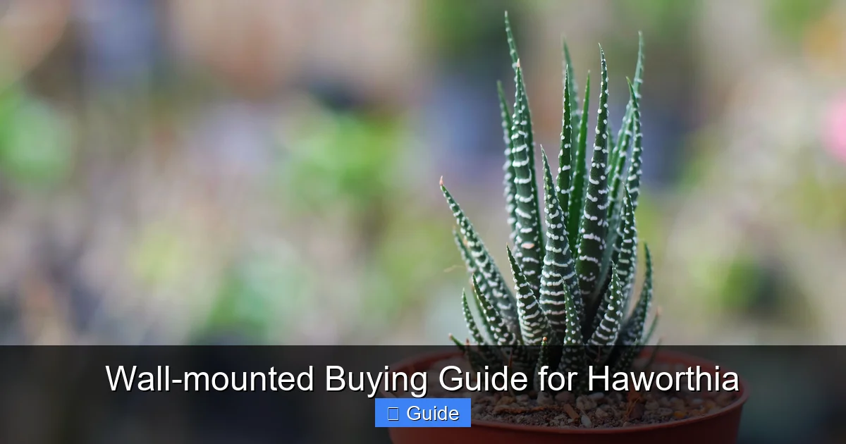 Wall-mounted Buying Guide for Haworthia