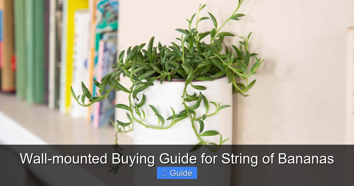 Wall-mounted Buying Guide for String of Bananas