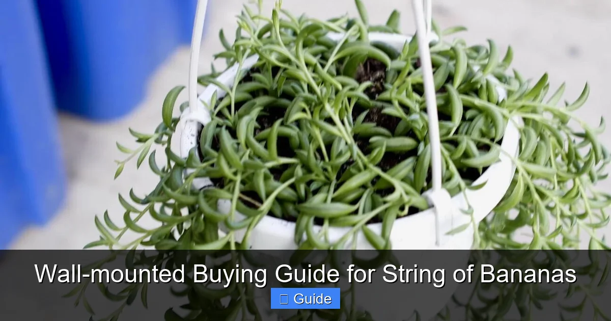 Wall-mounted Buying Guide for String of Bananas