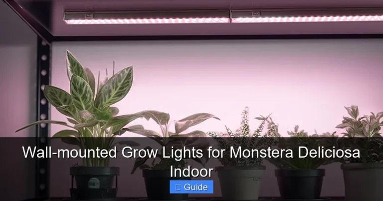 Wall-mounted Grow Lights for Monstera Deliciosa Indoor