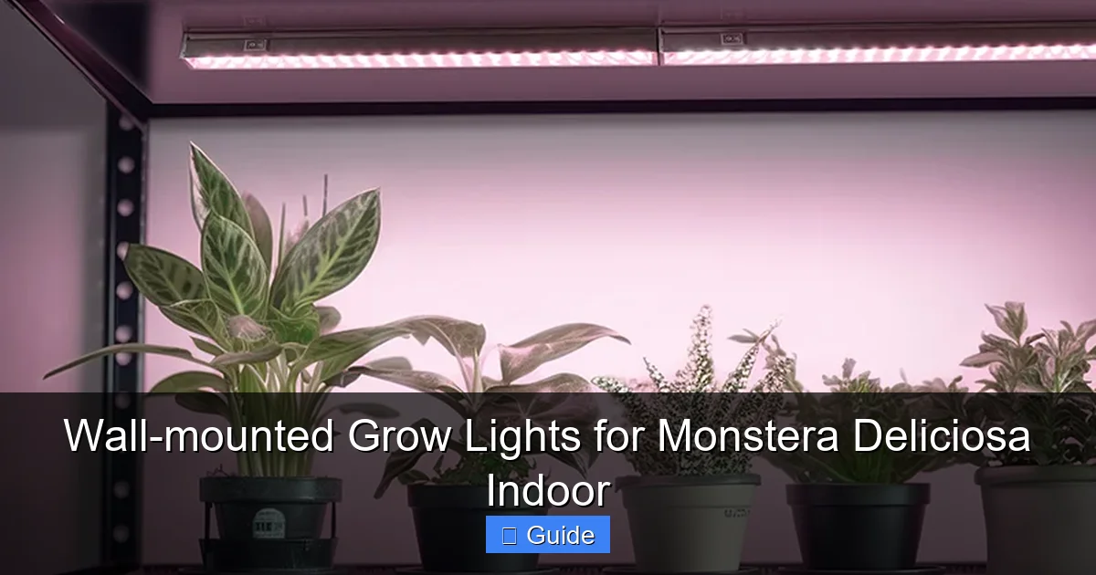 Wall-mounted Grow Lights for Monstera Deliciosa Indoor