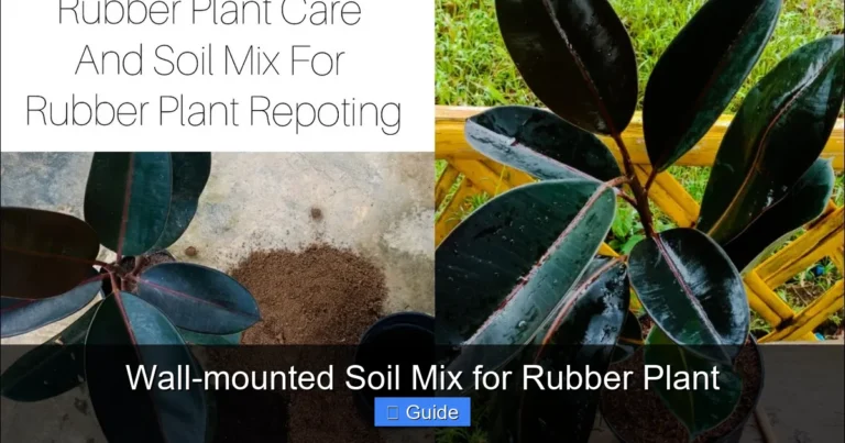 Wall-mounted Soil Mix for Rubber Plant