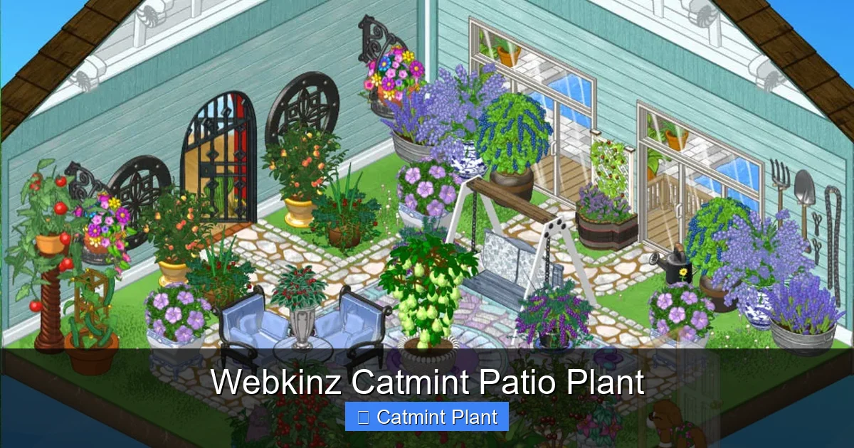 Webkinz Catmint Patio Plant