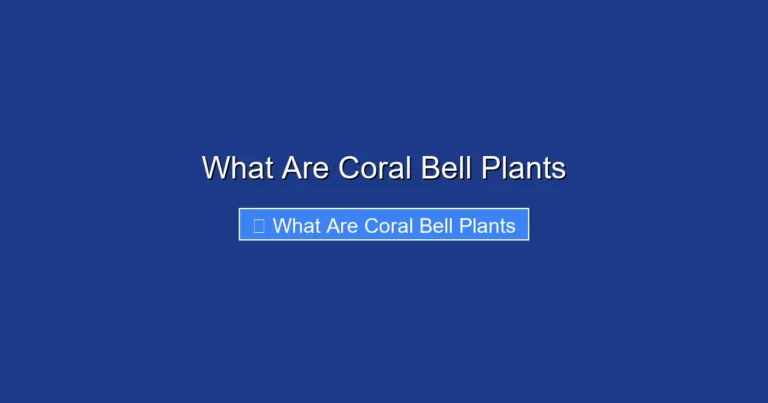 What Are Coral Bell Plants