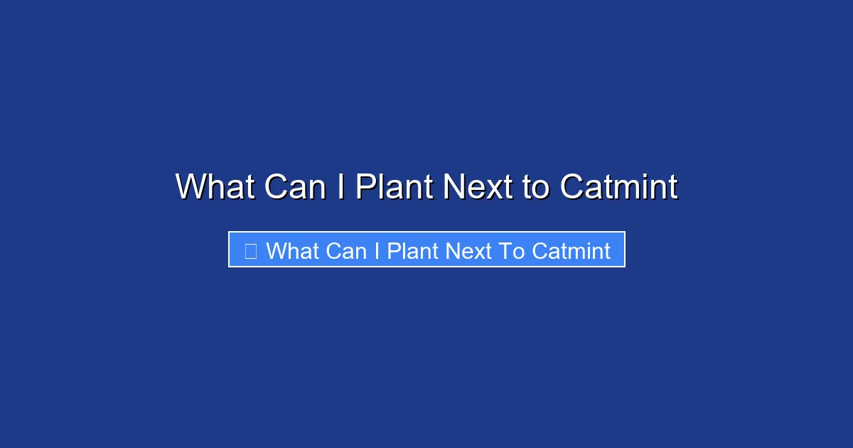 What Can I Plant Next to Catmint
