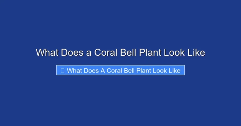 What Does a Coral Bell Plant Look Like