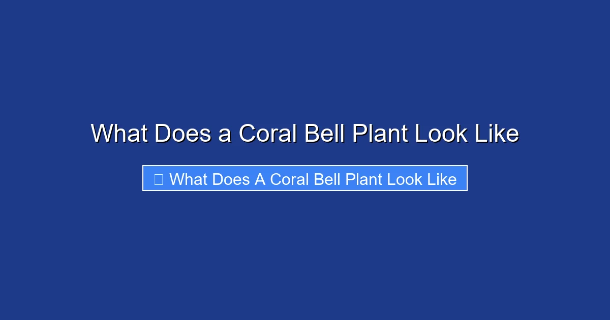 What Does a Coral Bell Plant Look Like