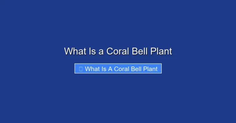 What Is a Coral Bell Plant