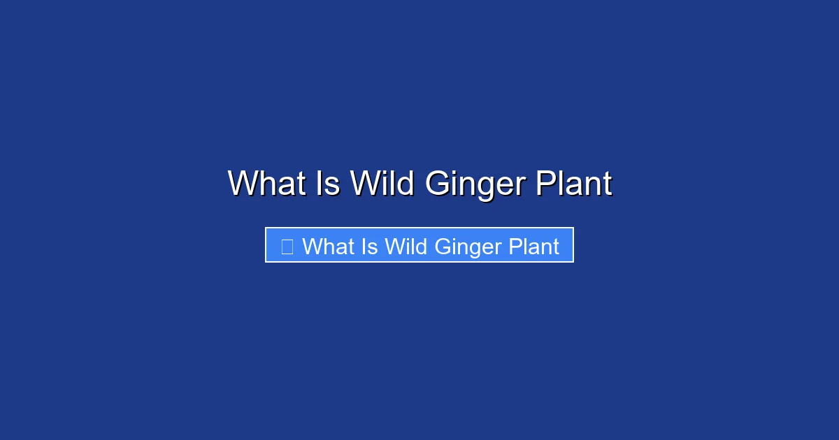 What Is Wild Ginger Plant