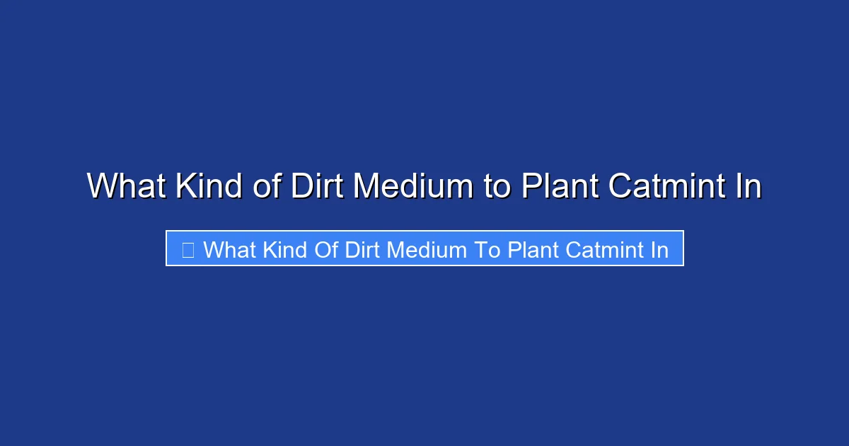 What Kind of Dirt Medium to Plant Catmint In