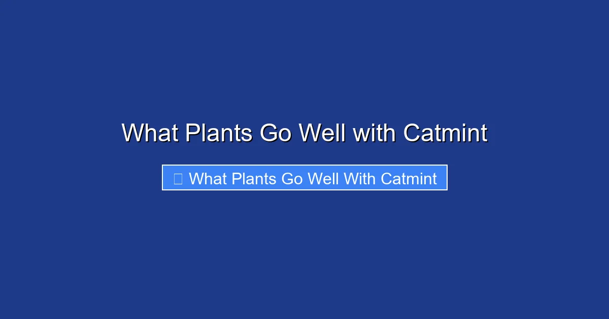 What Plants Go Well with Catmint