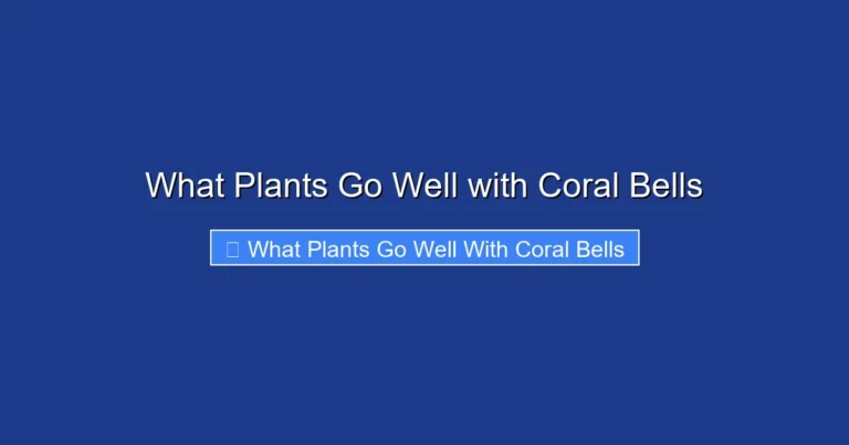 What Plants Go Well with Coral Bells