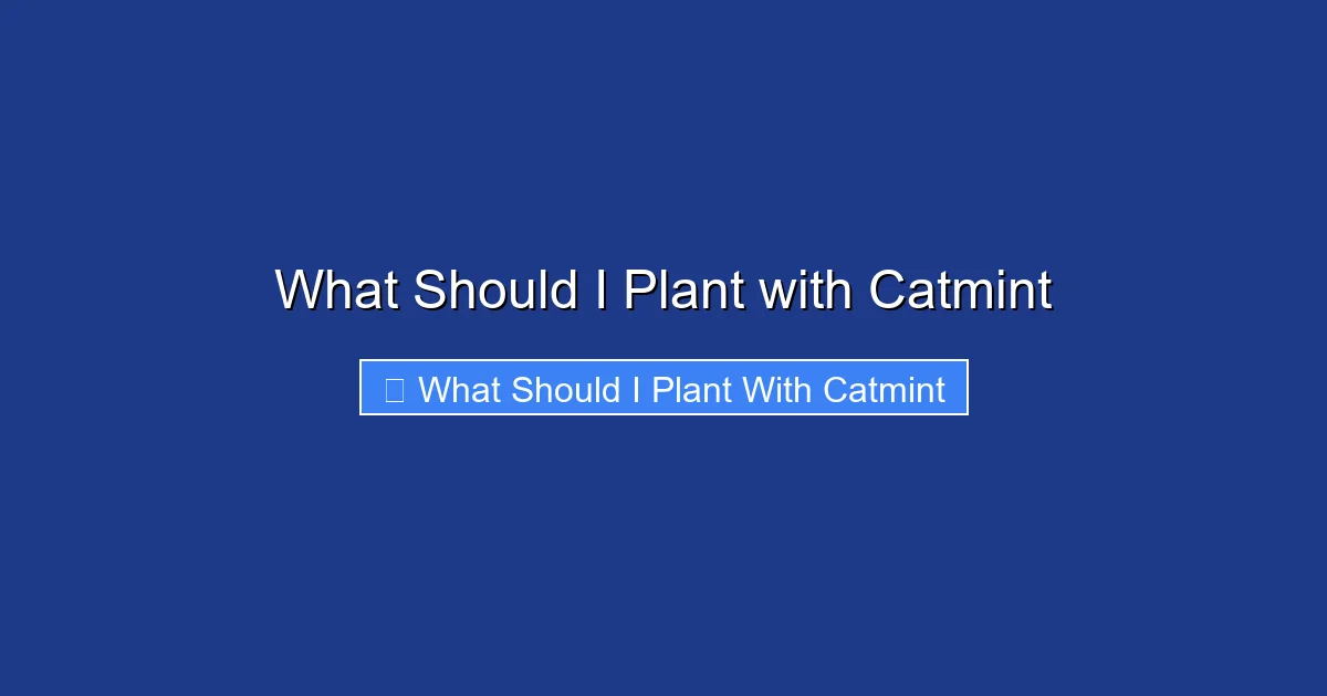 What Should I Plant with Catmint