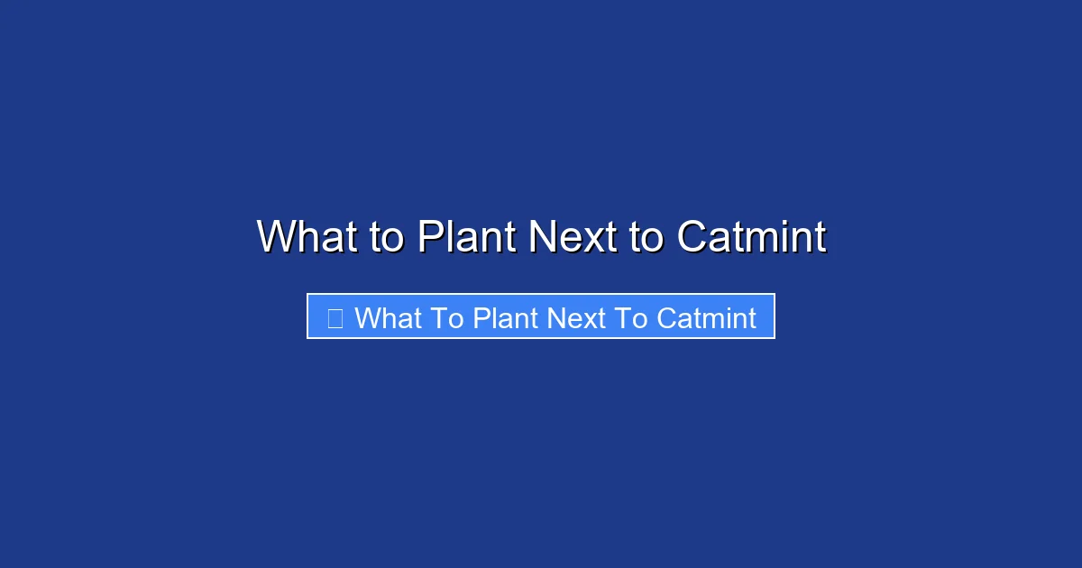 What to Plant Next to Catmint