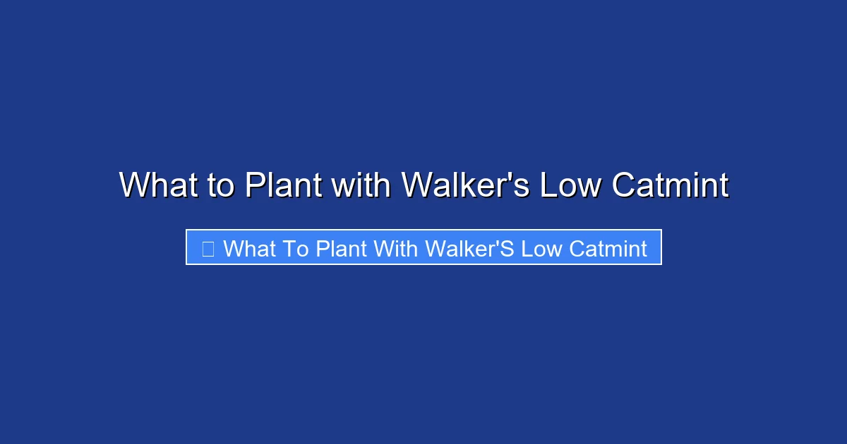 What to Plant with Walker's Low Catmint
