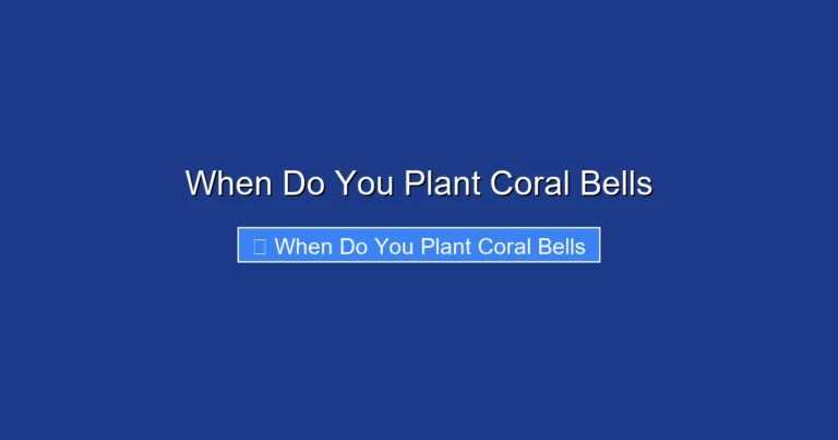 When Do You Plant Coral Bells