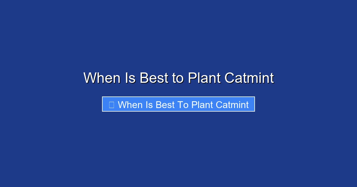 When Is Best to Plant Catmint