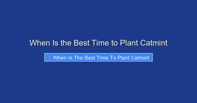 When Is the Best Time to Plant Catmint