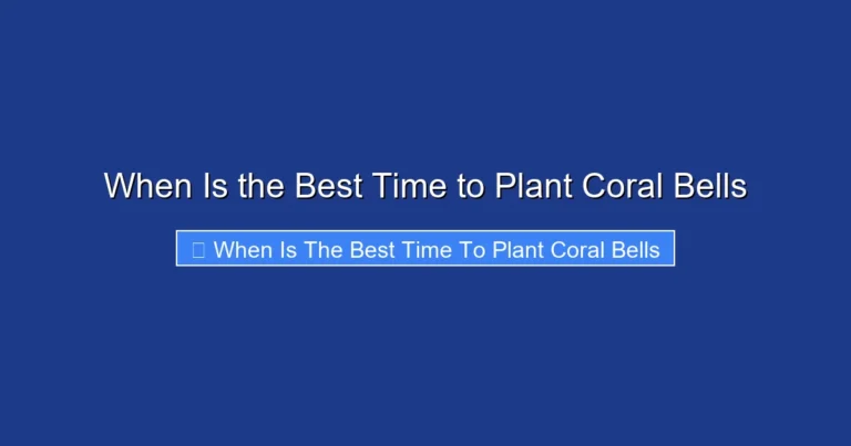 When Is the Best Time to Plant Coral Bells