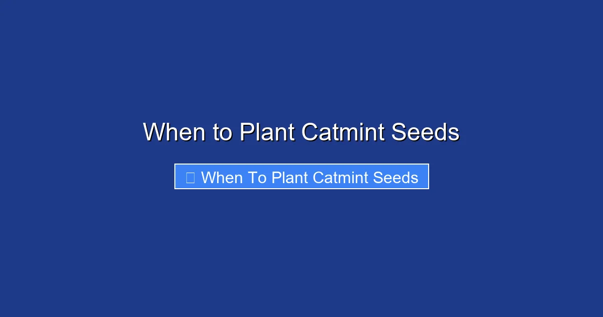 When to Plant Catmint Seeds