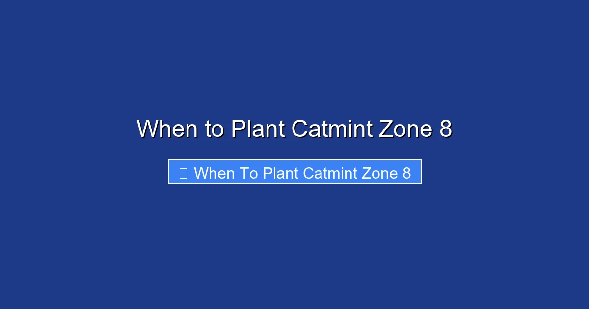 When to Plant Catmint Zone 8