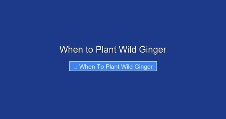 When to Plant Wild Ginger