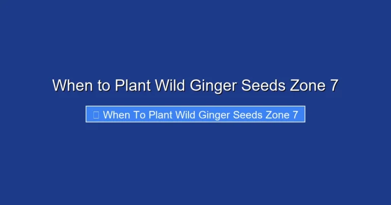 When to Plant Wild Ginger Seeds Zone 7