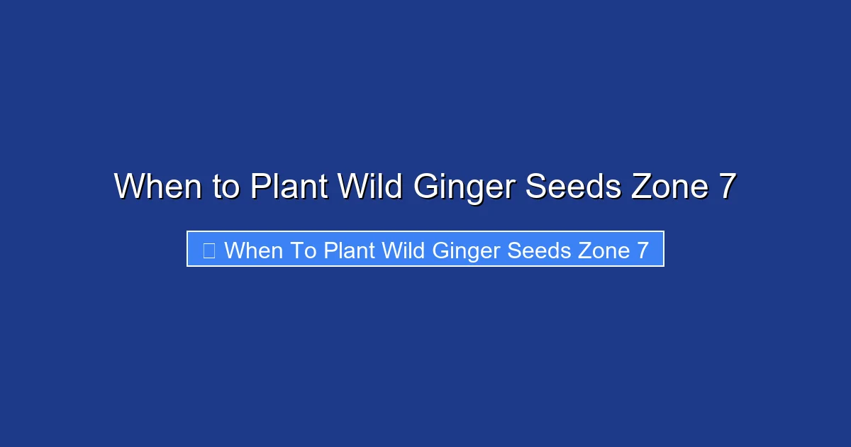 When to Plant Wild Ginger Seeds Zone 7