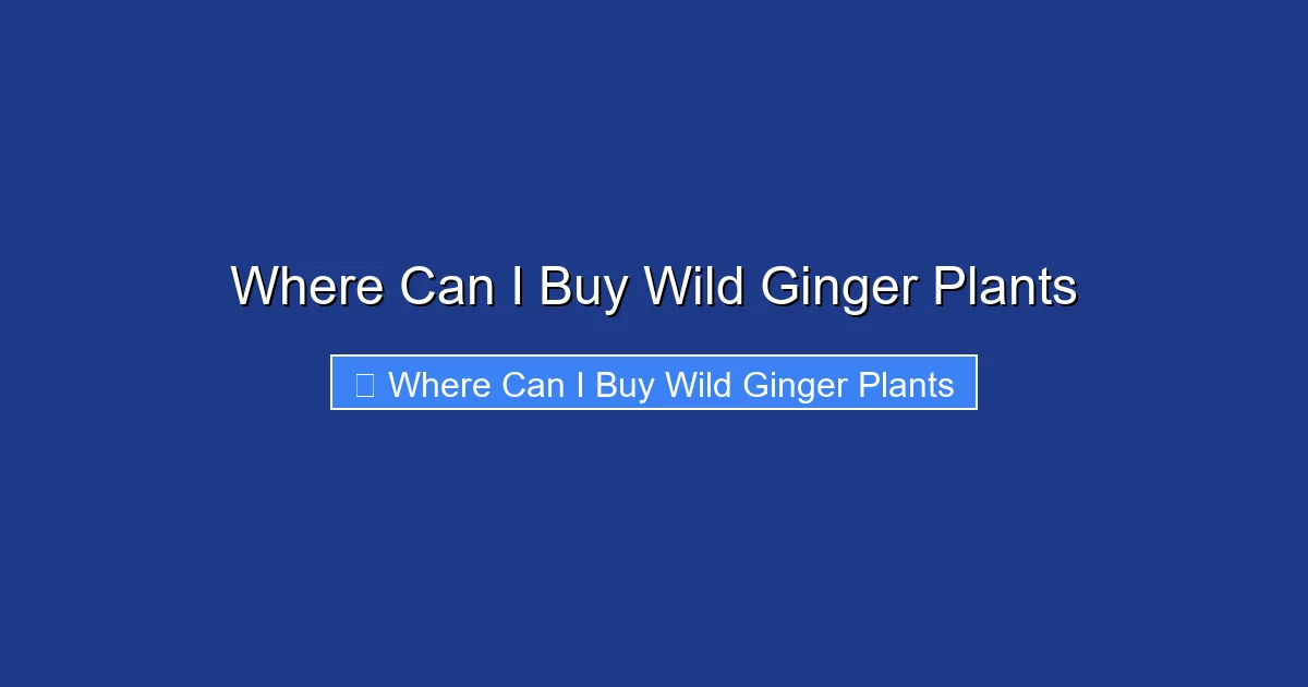 Where Can I Buy Wild Ginger Plants