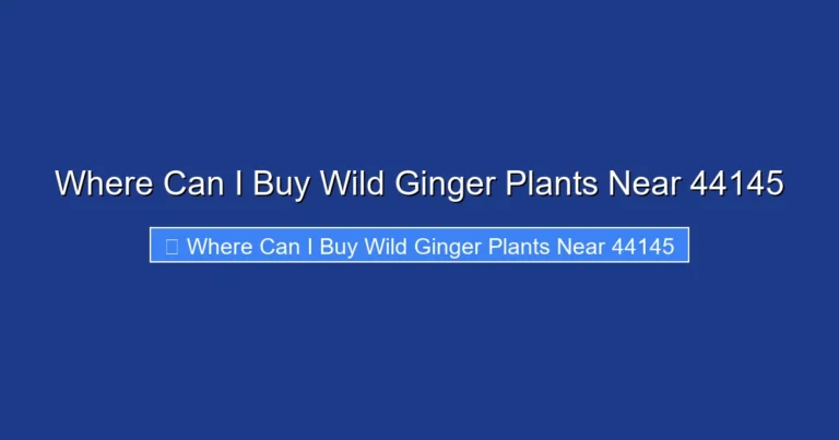 Where Can I Buy Wild Ginger Plants Near 44145