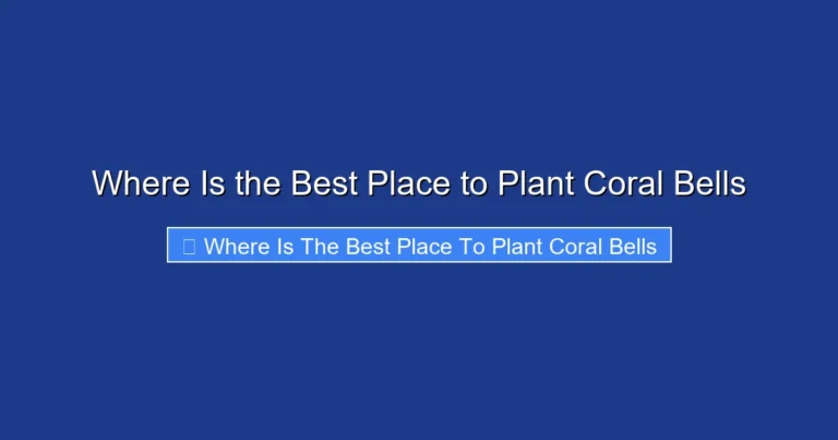 Where Is the Best Place to Plant Coral Bells