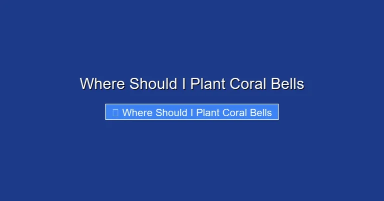 Where Should I Plant Coral Bells