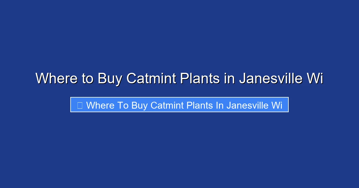 Where to Buy Catmint Plants in Janesville Wi