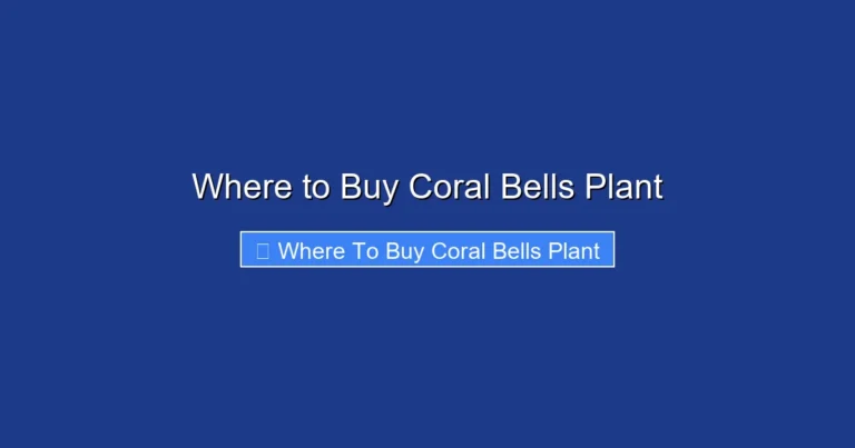 Where to Buy Coral Bells Plant