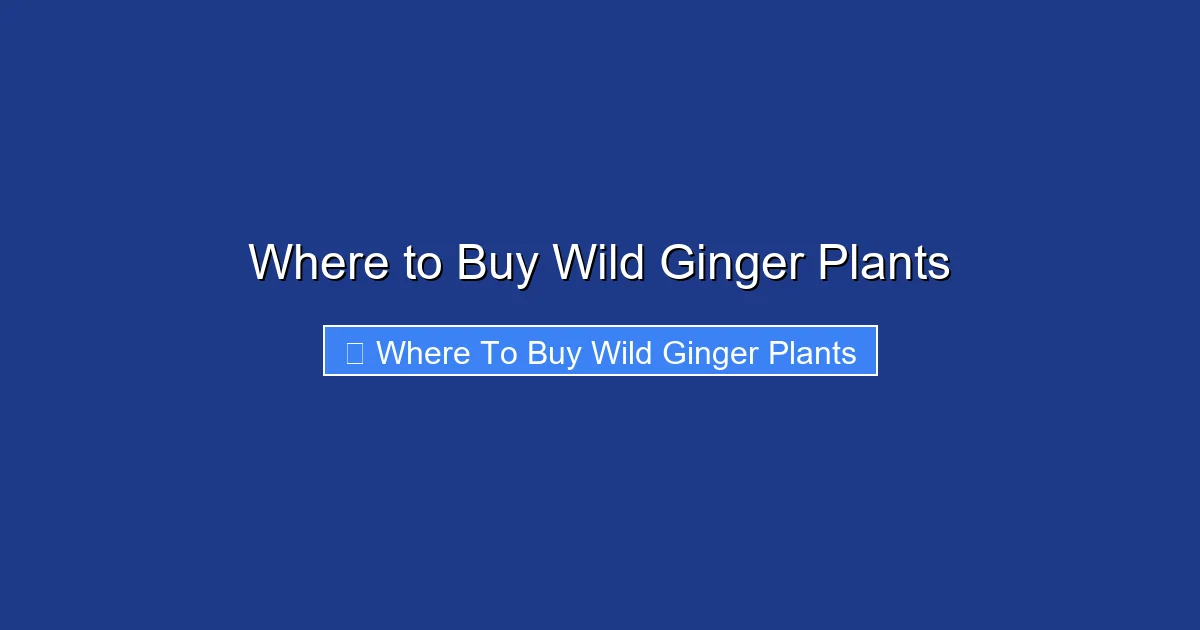 Where to Buy Wild Ginger Plants